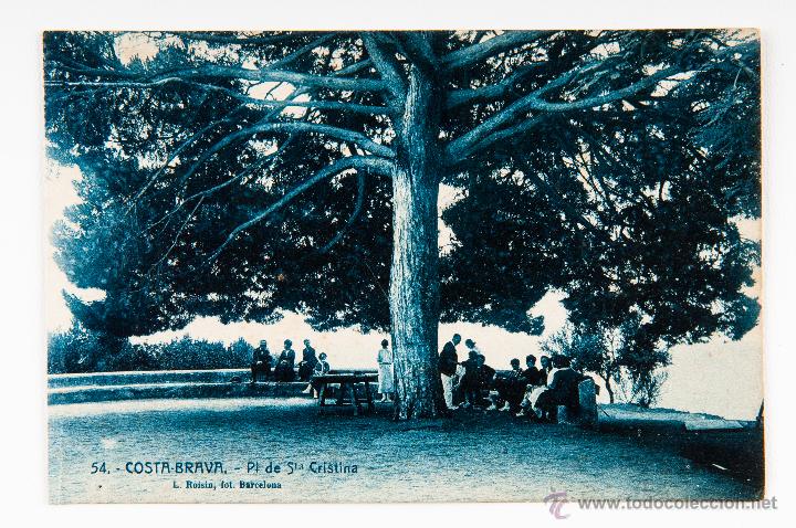 Postales: POSTAL DE LA COSTA BRAVA, N&ordm; 54 PINO DE STA CRISTINA, FOTOGRAFO ROISIN, FOTOGRAFIA VIRADA EN AZUL