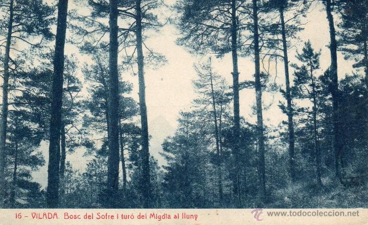 Postales: vilada. 16 bosc del sofre. thomas - Foto 1