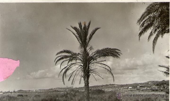 Postales: TARRAGONA - Foto 1