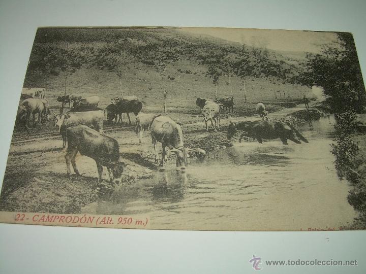 Postales: ANTIGUA POSTAL......CAMPRODON - Foto 1