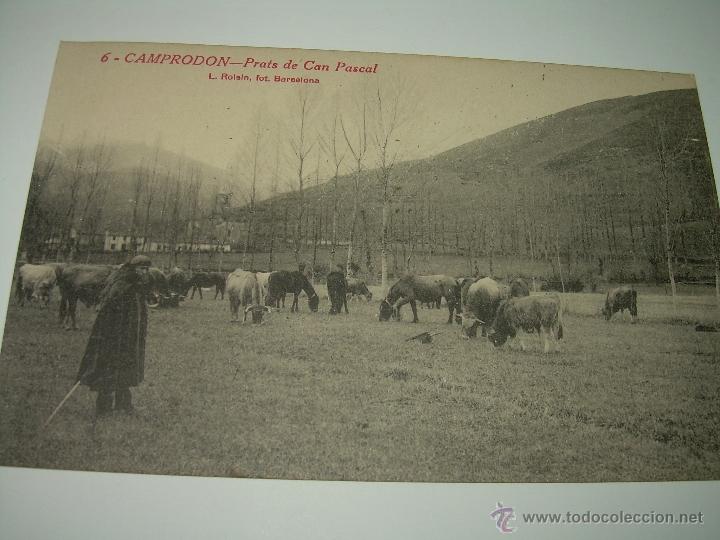 Postales: ANTIGUA POSTAL.....CAMPRODON - Foto 1