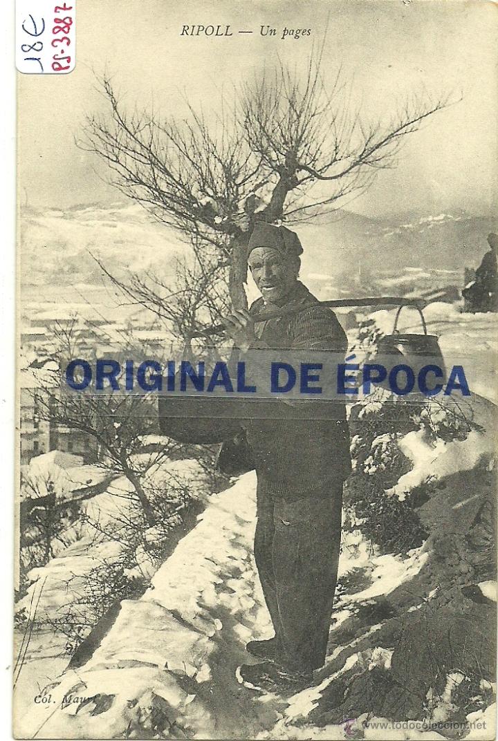 Postcards: (PS-38874)POSTAL DE RIPOLL-UN PAGES