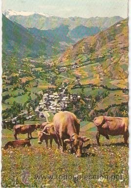 Postales: Valle de Aran. Alto Aran y Maladeta.  n&ordm; 226.  Imp Elzeviriana y Lib Cami.  .Vell i Bell