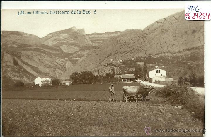 Postkarten: (PS-39254)POSTAL FOTOGRAFICA DE OLIANA-CARRETERA DE LA SEO