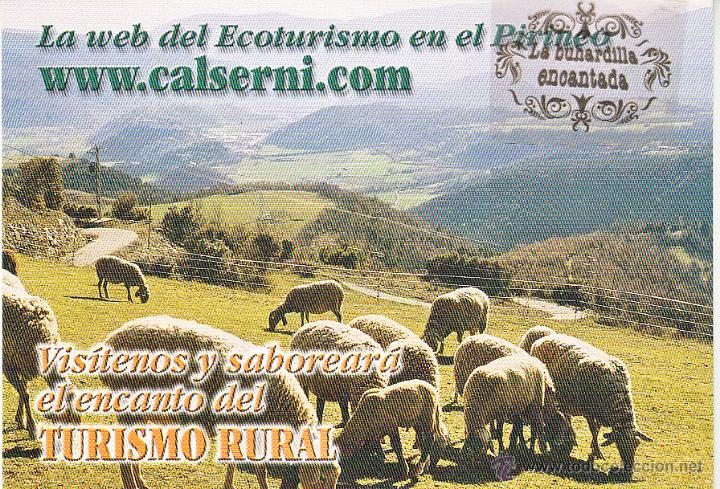 Postales: POSTAL - LERIDA DEO DE URGELL  - NO CIRCULADA