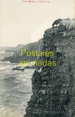 Cartes Postales: a01352 La Escala - El bol Roig - Esquirol N&ordm;14