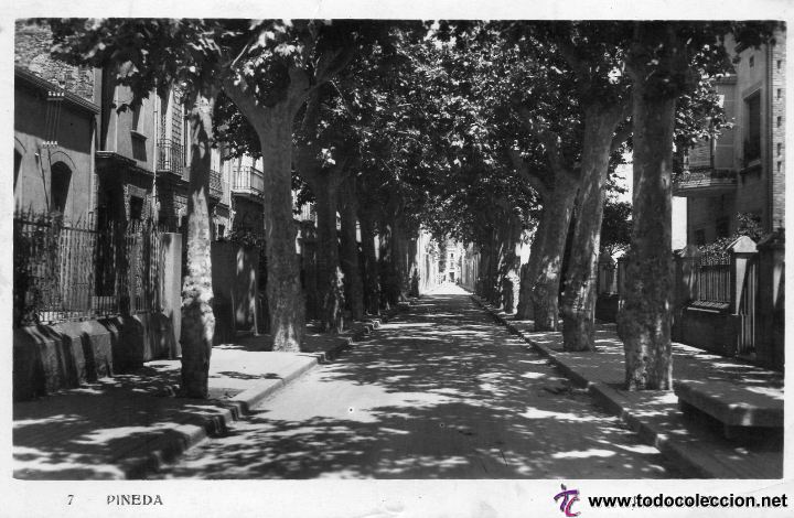 Postales: pineda. 7 paseo de mar - Foto 1