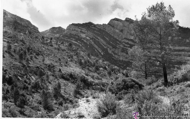 Postales: ulldemolins. cam&iacute; de margalef - Foto 1