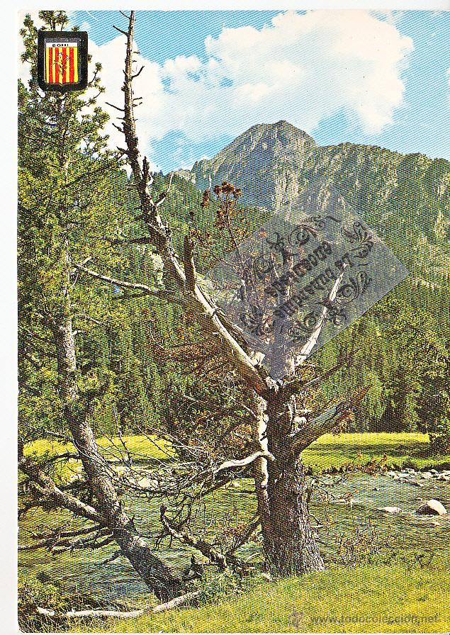 Postales: POSTAL - LERIDA - VALLE DE BOHI AIGUES TORTES - CIRCULADA CON SELLO A&Ntilde;O 1984
