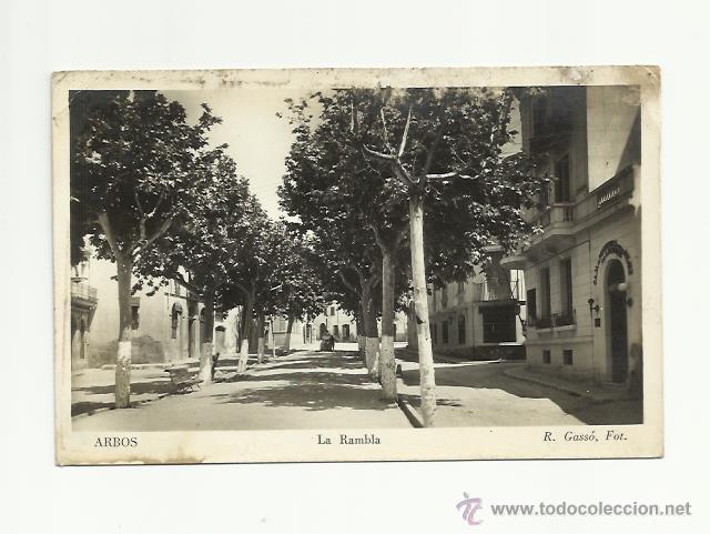 Postales: ARBOS, LA RAMBLA. R.GASS&Oacute;. - Foto 1
