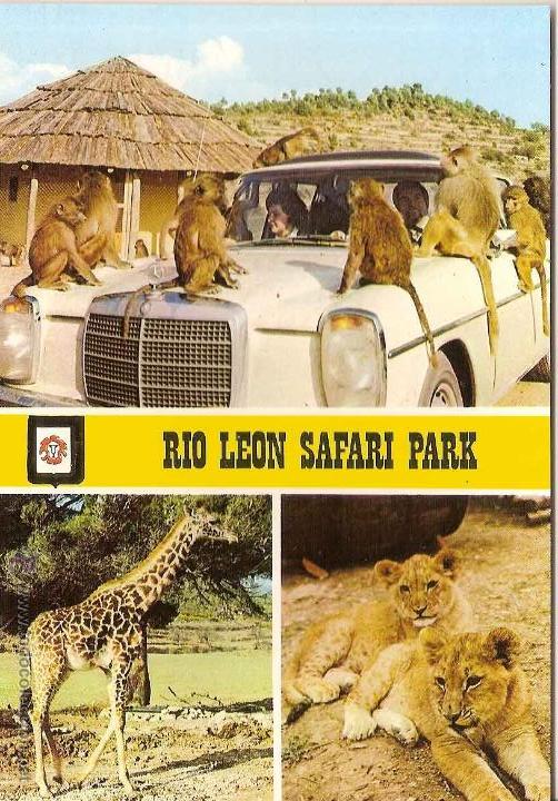 rioleon safari park tarragona