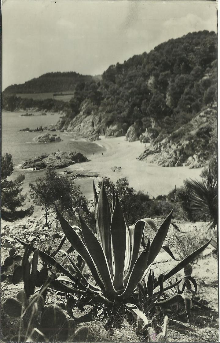Postales: GERONA LLORET DE MAR ESCRITA - Foto 1