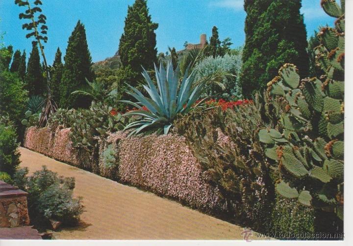 Postales: (108) BLANES. JARDIN BOTANICO - Foto 1