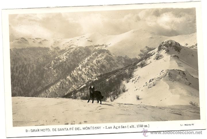 Postales: GRAN HOTEL DE SANTA FE DEL MONTSENY, LAS AGUDAS. L. ROISIN