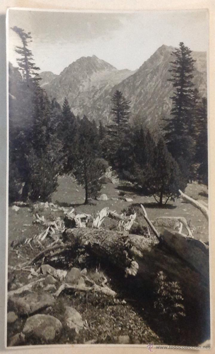 Postales: VALL DE BOH&Iacute;. FOTOGR&Aacute;FICA.