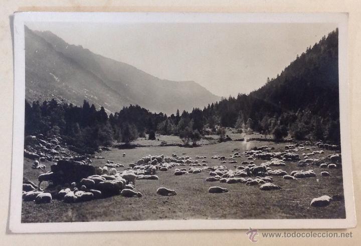 Postales: VALLe de ESPOT. CAMINO AL LAGO SAN MAURICIO. (ZERKOWITZ)