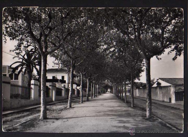 Postales: Canet de Mar. Circulada . - Foto 1