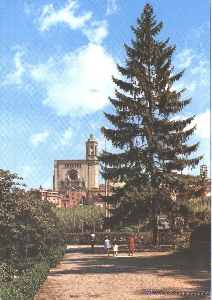 Postales: GERONA - CATEDRAL Y JARDINES DE LA DEHESA - Foto 1