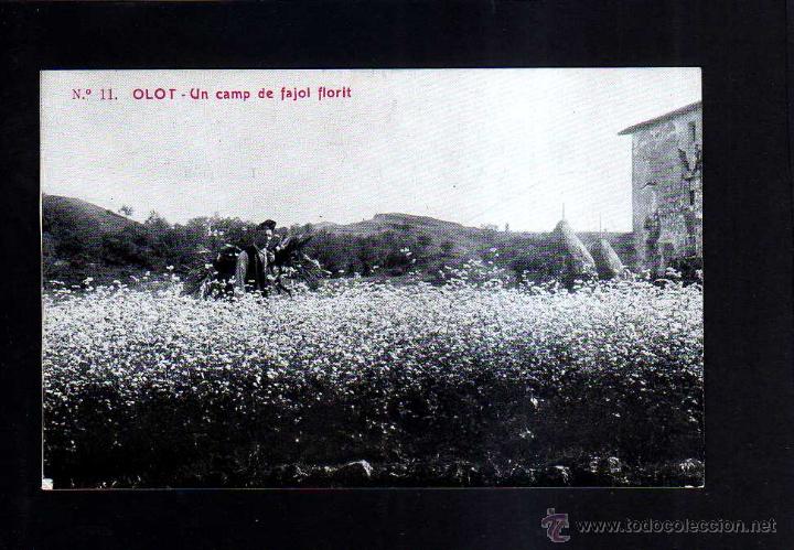 Postales: Olot. No circulada . - Foto 1