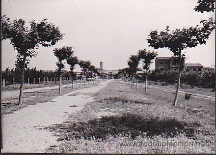 Postales: POSTAL BELLPUIG PASEO CENTRAL - Foto 1