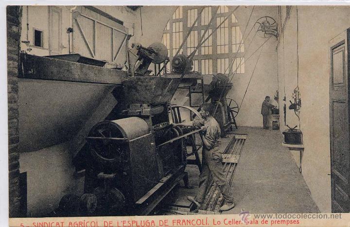 Postkarten: SINDICAT AGRICOL DE L&acute;ESPLUGA DE FRANCOL&Iacute;.-LO CELLER.-SALA DE PREMPSES