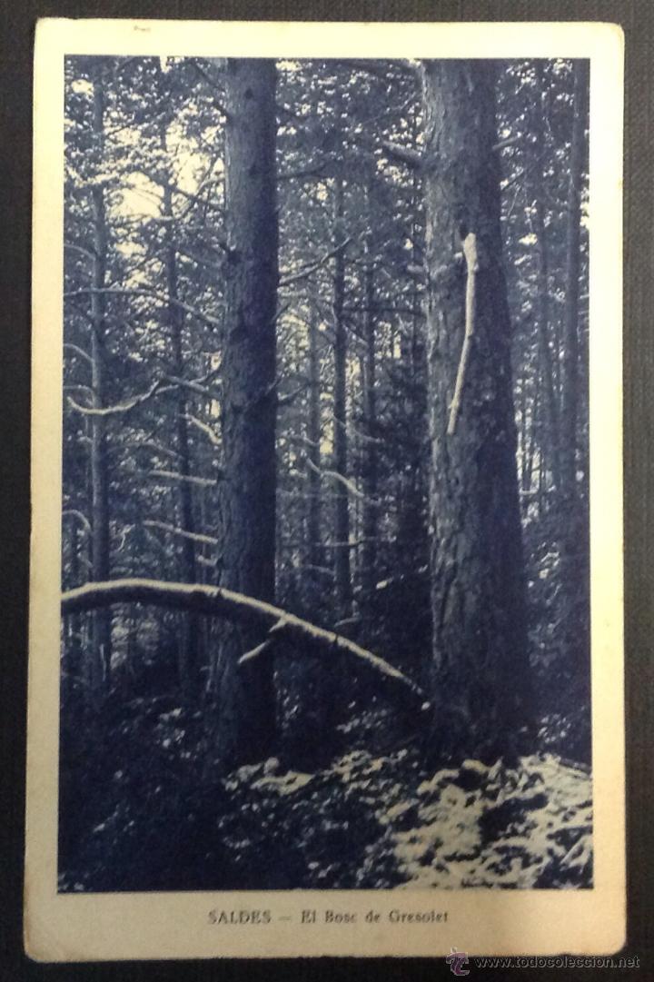 Postales: SALDES. EL BOSC DE GRESOLET. (Ed. Mumbr&uacute;) - Foto 1