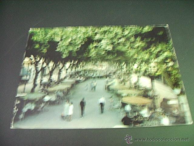 Postales: VENDRELL   (TARRAGONA)  PASEO - Foto 1