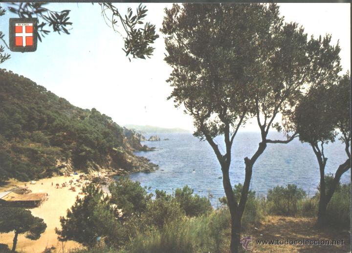 Postales: BLANES - CALA SAN FRANCISCO - Foto 1
