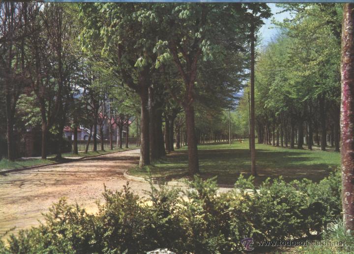 Postales: CAMPRODON - AVENIDA MARISTANY - Foto 1