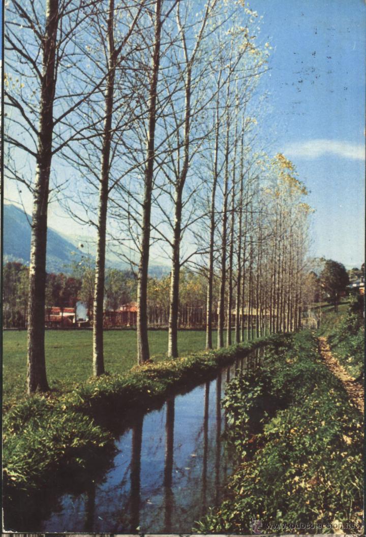Postales: CAMPRODON - Foto 1
