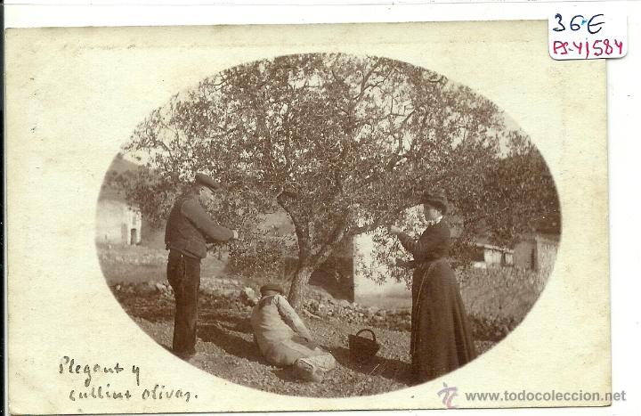 Postkarten: (PS-41584)POSTAL FOTOGRAFICA DE SAN QUINTIN DE MEDIONA-PLEGANT Y CULLIN OLIVAS