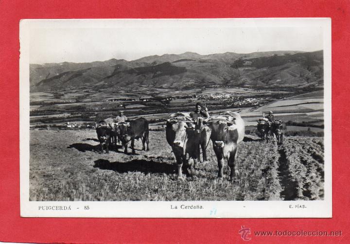 Postales: puigcerda. 85 la cerda&ntilde;a. e. pias - Foto 1