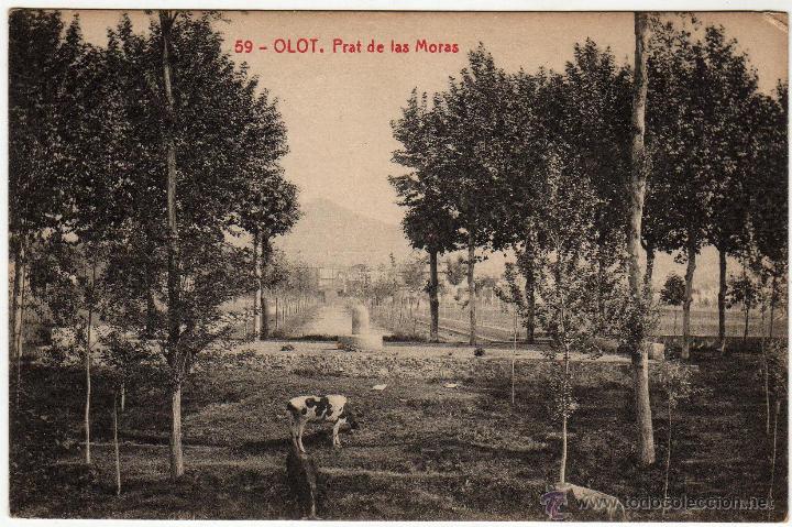 Postales: OLOT. GIRONA. PRAT DE LAS MORAS . EDICI&Oacute; ARQU&Eacute;S - Foto 1