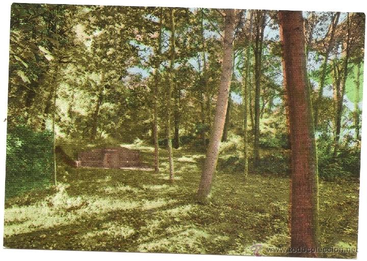 Postales: Taradell - Foto 1