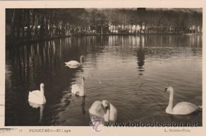 Cartes Postales: PUIGCERDA - EL LAGO - CISNES - N&ordm; 11 - ED . ROISIN - FOTO  -  A&Ntilde;OS  40 / 50 - ESCRITA  -