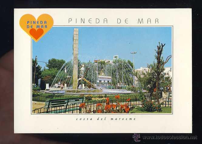 Postales: Postal de PINEDA DE MAR: Detall (Ed. PIC num. B 1340)