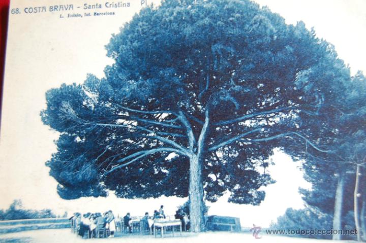 Postales: POSTAL. COSTA BRAVA. SANTA CRISTINA. PI. PINO. ROISIN. NUM 68
