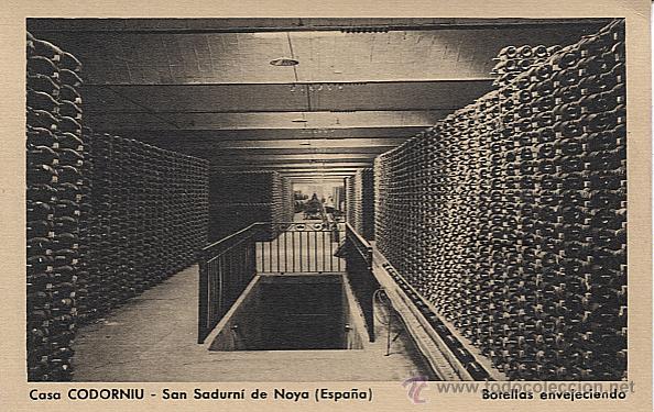 Postales: X112537 ALTO PENEDES SAN SADURNI DE NOYA CASA CODORNIU BOTELLAS ENVEJECIENDO PLANO RARO CON ESCALERA