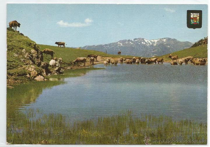 Postales: VALL D'ARAN  N&ordm; 5 .- PORT DE LA BONAIGUA .- COMERCIAL ESCUDO DE ORO