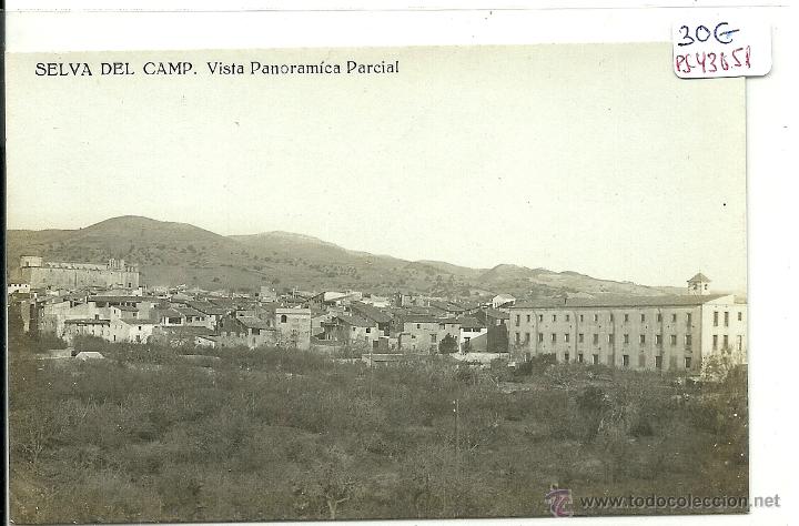 Postkarten: (PS-43051)POSTAL FOTOGRAFICA DE SELVA DEL CAMP-VISTA PANORAMICA PARCIAL