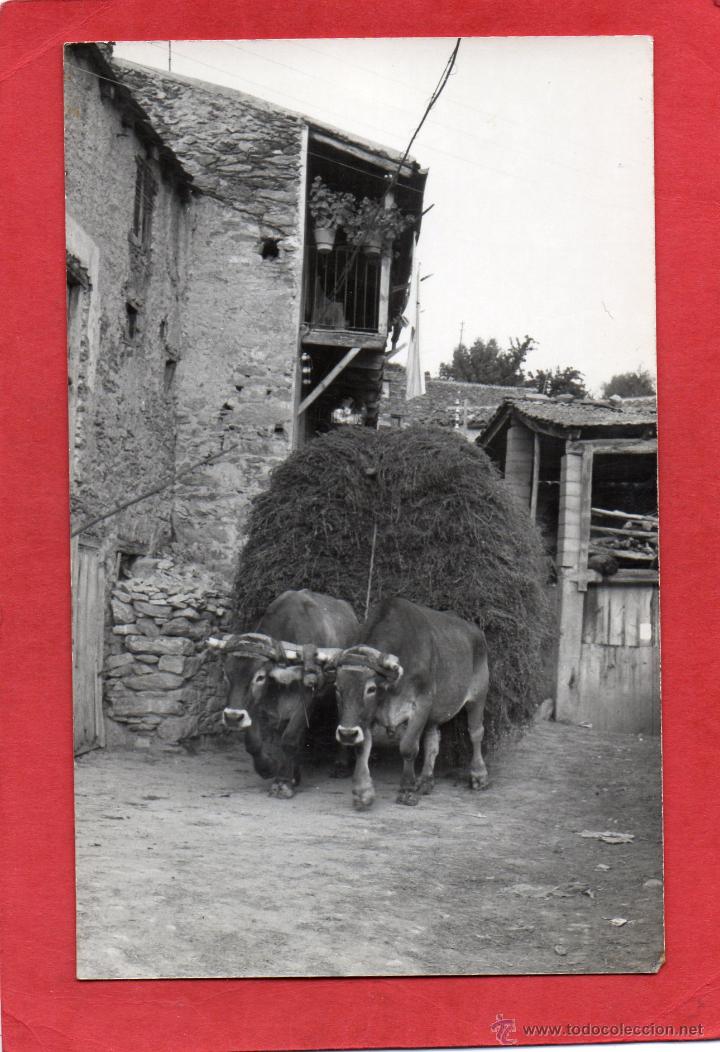Postales: prullans - Foto 1