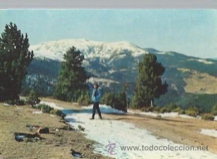 Cartes Postales: N&ordm; 8 LA MOLINA, PIRINEO CATAL&Aacute;N, CAMINO DE LAS PISTAS, CUSC&Oacute;