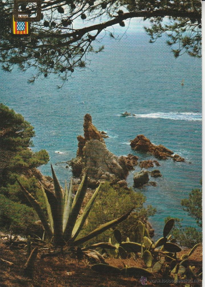 Postales: N&ordm; 21919 POSTAL COSTA BRAVA GERONA - Foto 1