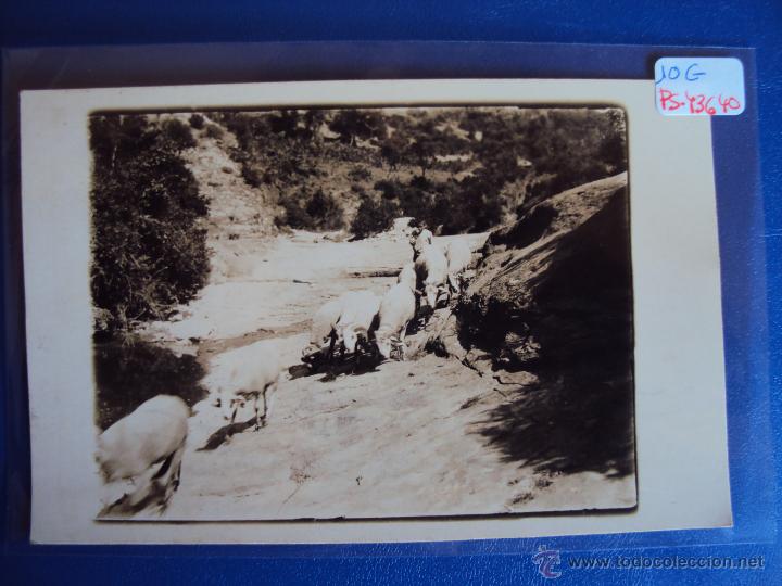 Postales: (PS-43640)POSTAL FOTOGRAFICA DE STA.MARIA DE CORCO-PASTORANDO
