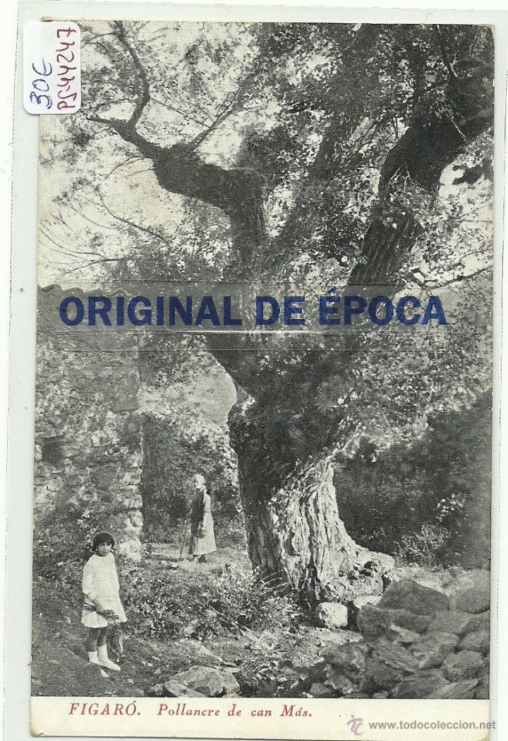 Postkarten: (PS-44247)POSTAL DE FIGARO-POLLANCRE DE CAN MAS