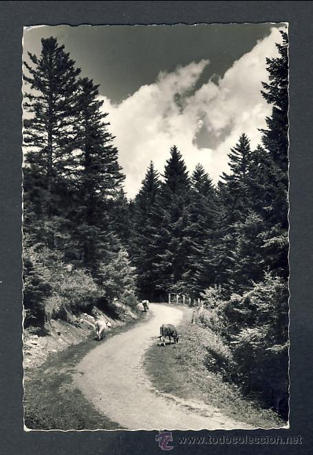 Postales: Postal de LA VALL D' ARAN: Carretera d' acc&eacute;s al Portillon (Ed. Of. Turisme 357)