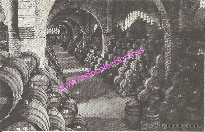 Postales: SANT SADURN&Iacute; D'ANOIA - CAVES CODORNIU - POSTAL PUBLICITARIA N&Uacute;M. 5 (A&Ntilde;O 1960)