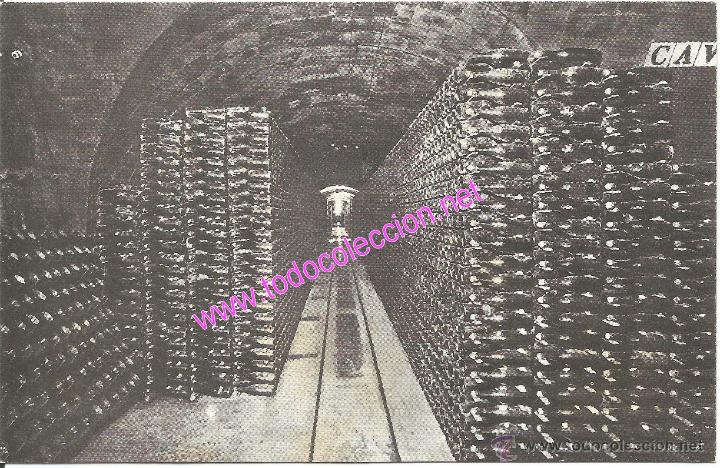 Postales: SANT SADURN&Iacute; D'ANOIA - CAVES CODORNIU - POSTAL PUBLICITARIA N&Uacute;M. 9 (A&Ntilde;O 1960)