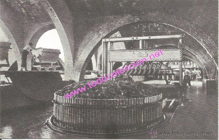 Postales: SANT SADURN&Iacute; D'ANOIA - CAVES CODORNIU - POSTAL PUBLICITARIA N&Uacute;M. 2 (A&Ntilde;O 1960)