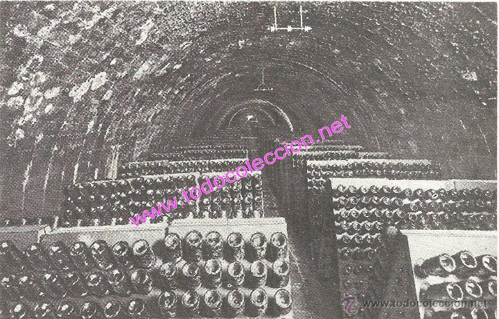 Postales: SANT SADURN&Iacute; D'ANOIA - CAVES CODORNIU - POSTAL PUBLICITARIA N&Uacute;M. 10 (A&Ntilde;O 1960)